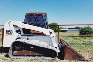 Bobcat and Bobcat With Brush-g